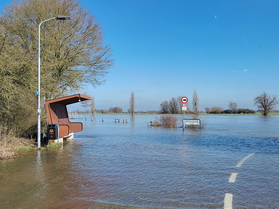 Hoogwater in de Uiterwaarden